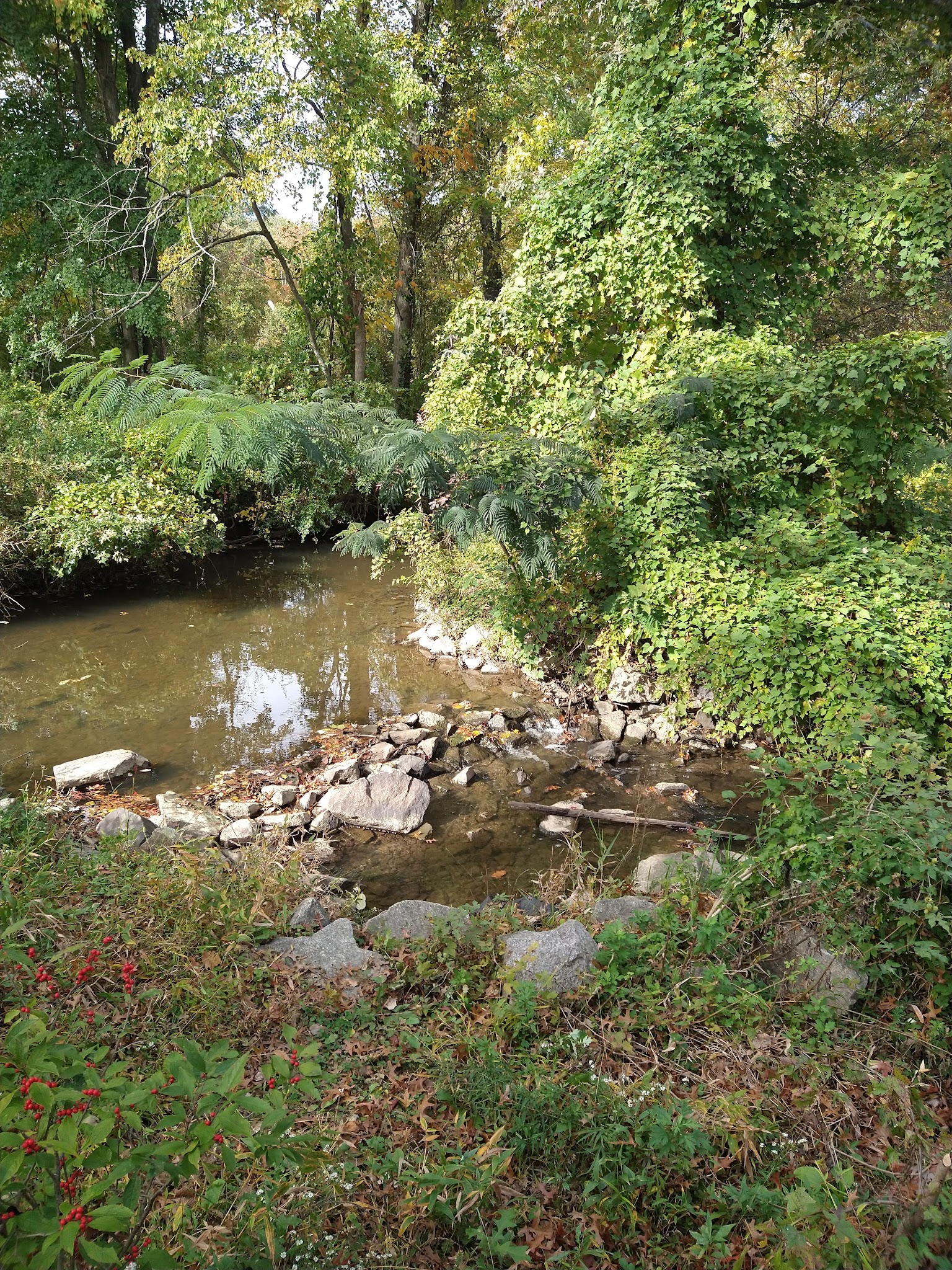 Luria Park - Falls Church, VA