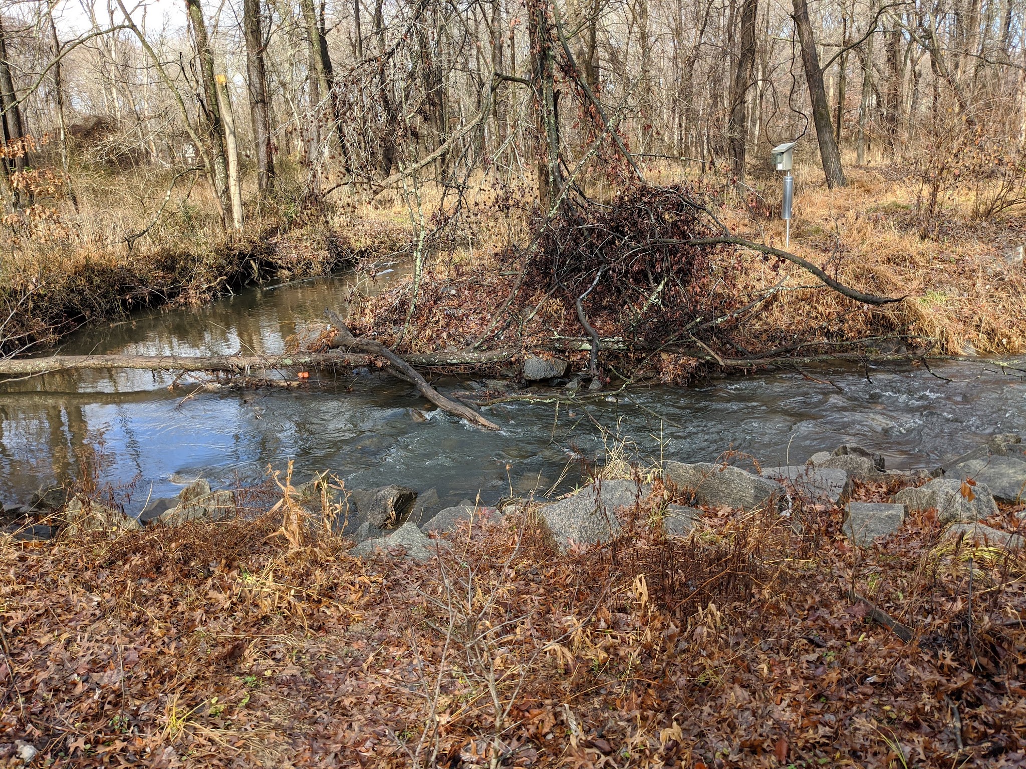 Luria Park - Falls Church, VA