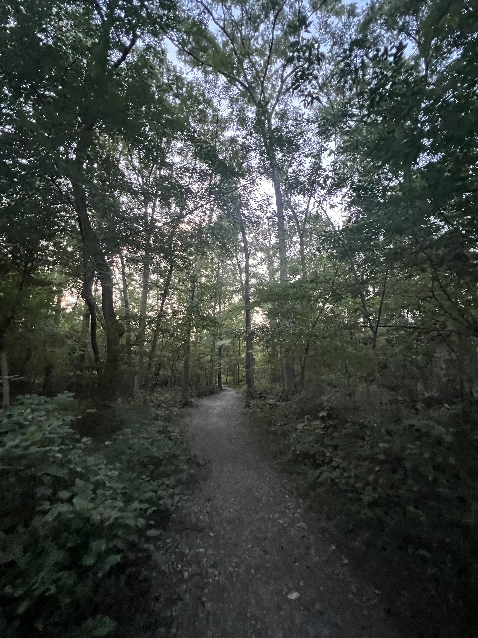 Luria Park - Falls Church, VA