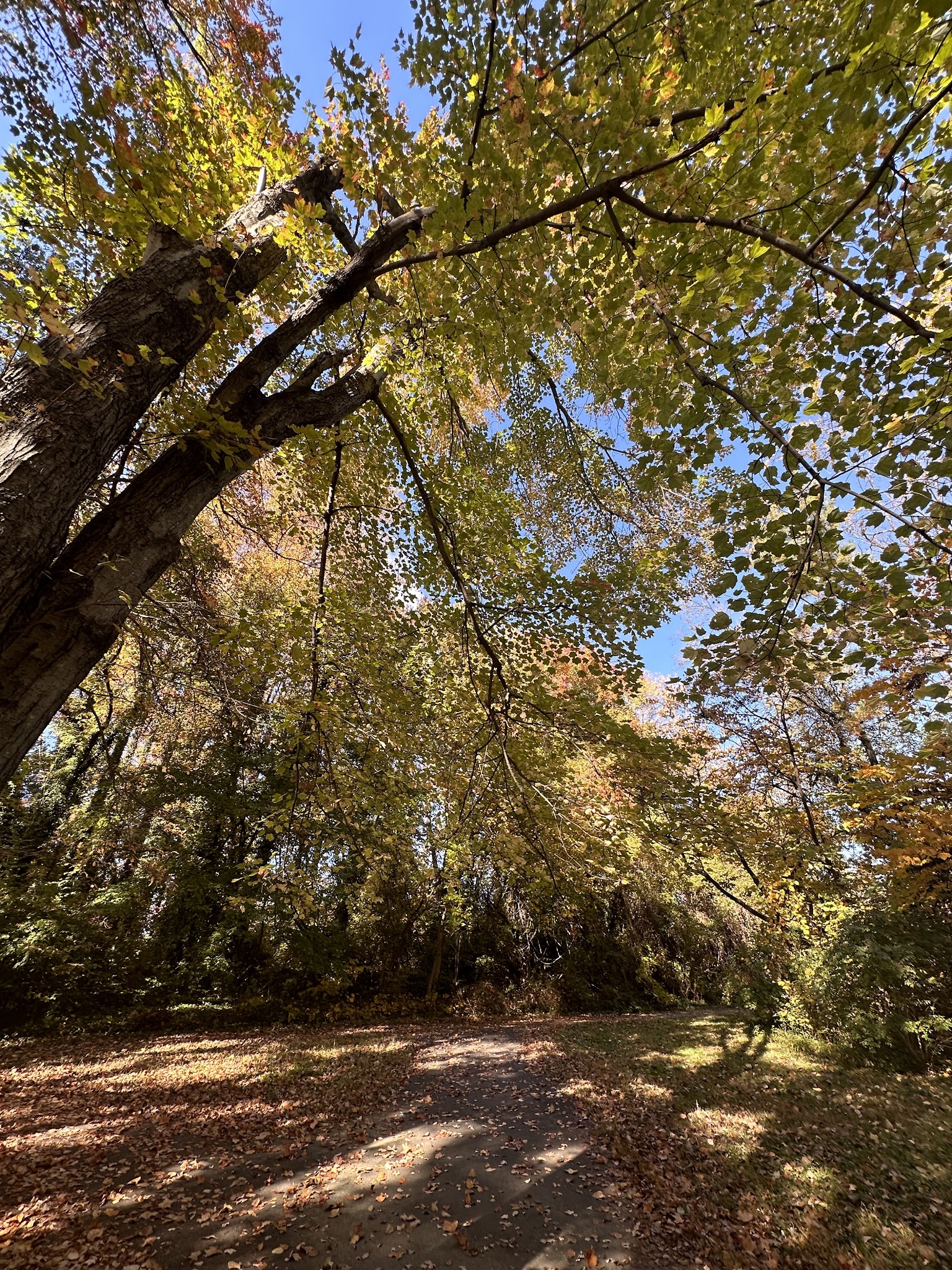 Pimmit Hills Park - Falls Church, VA