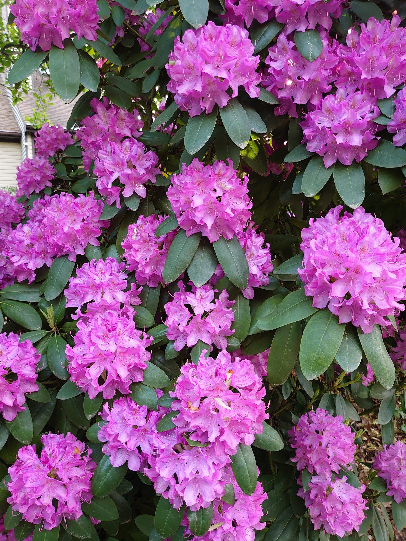 Pimmit View Park - Falls Church, VA