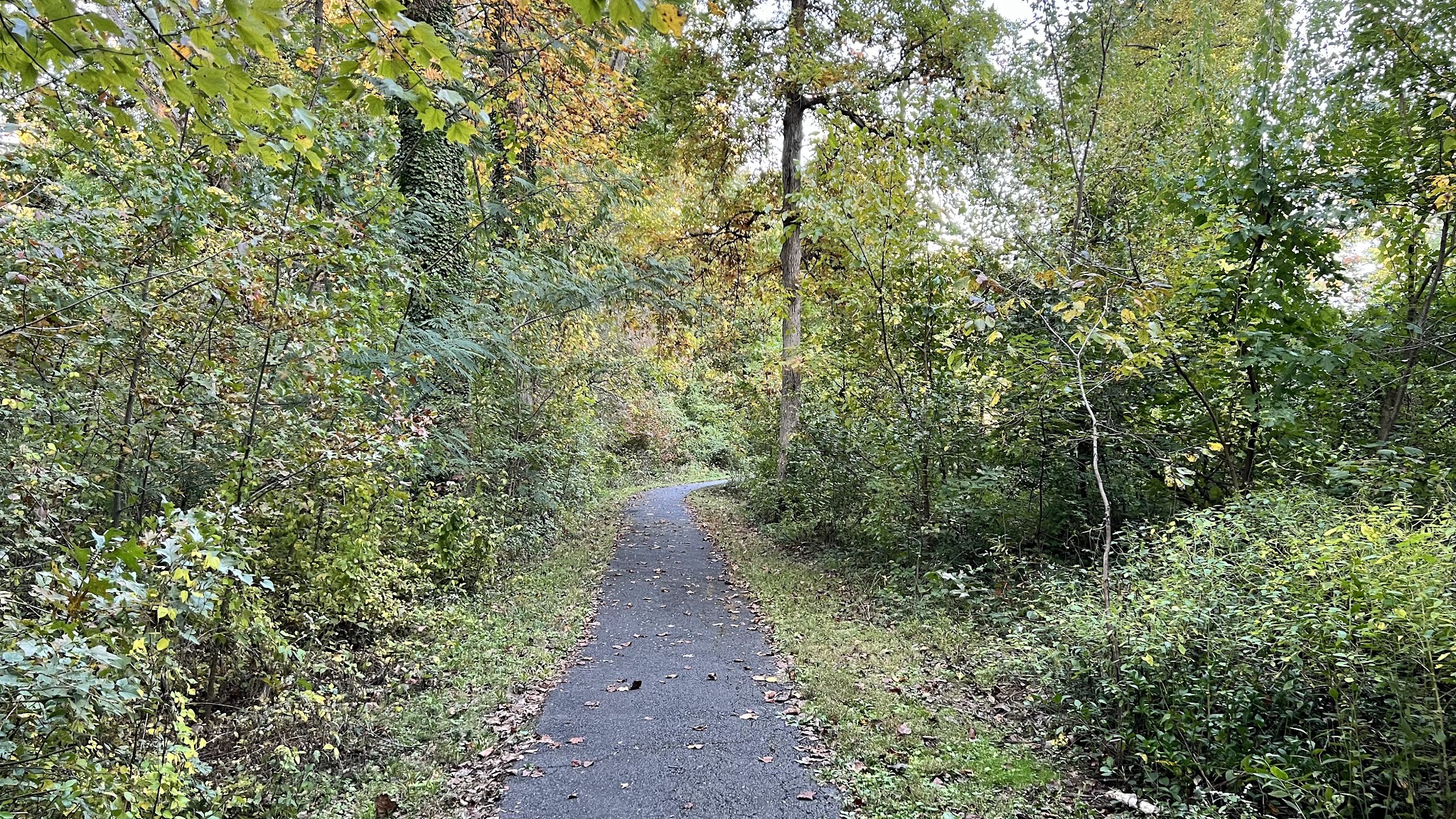 Pimmit View Park - Falls Church, VA