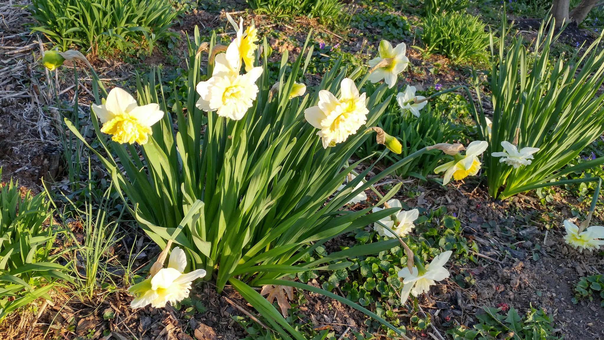 Pimmit View Park - Falls Church, VA