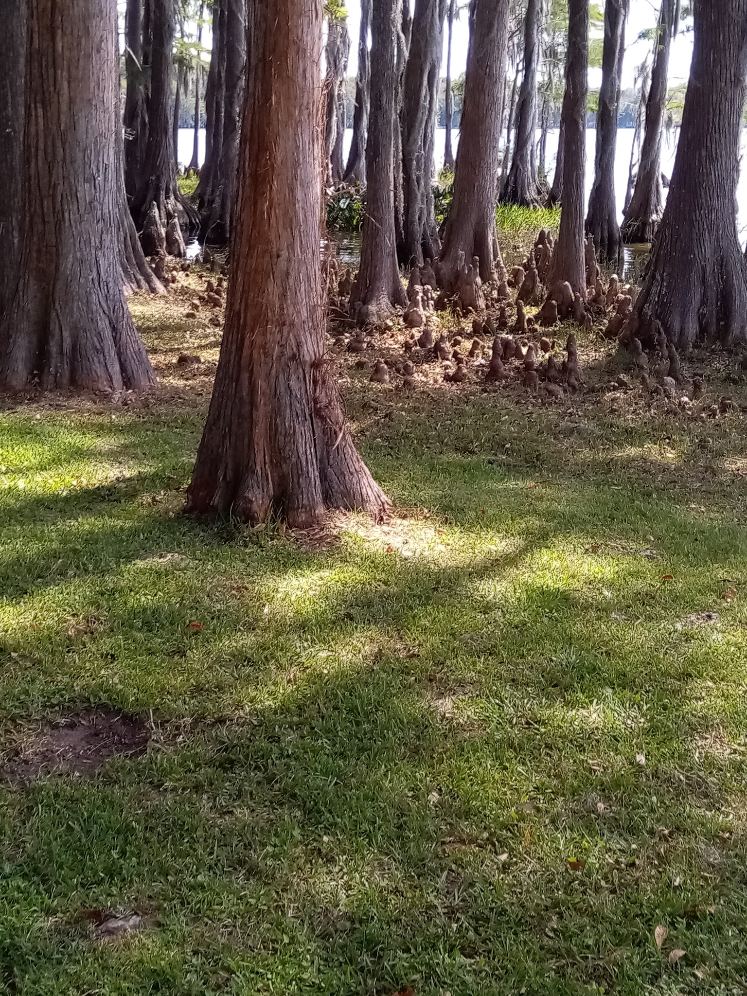 Florala City Park - Florala, AL