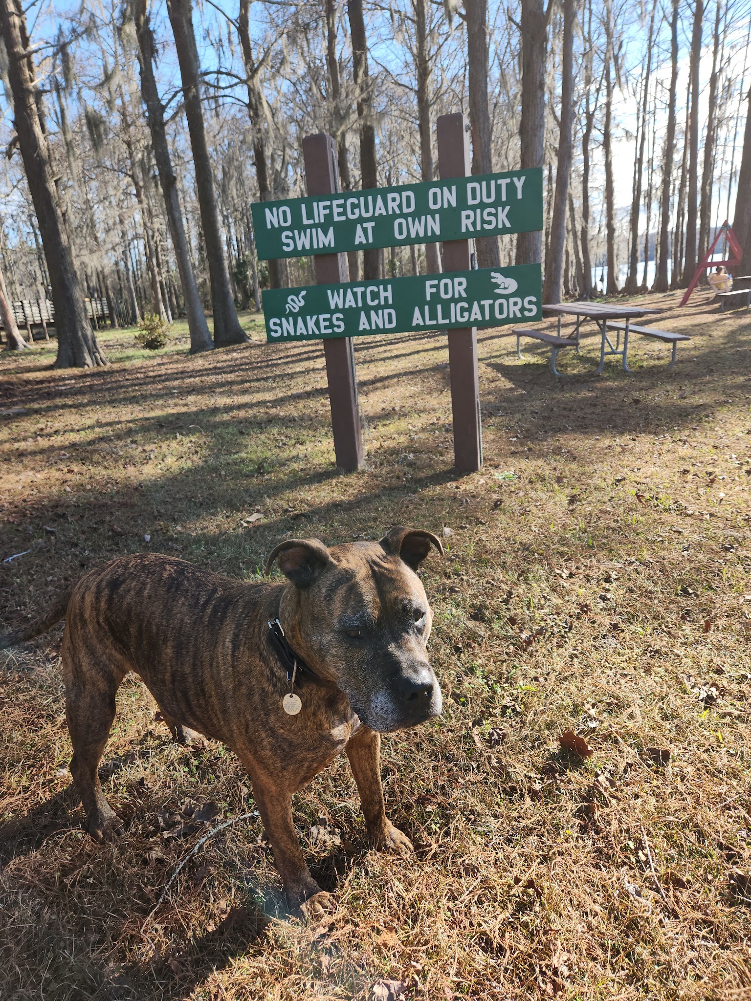 Florala City Park - Florala, AL
