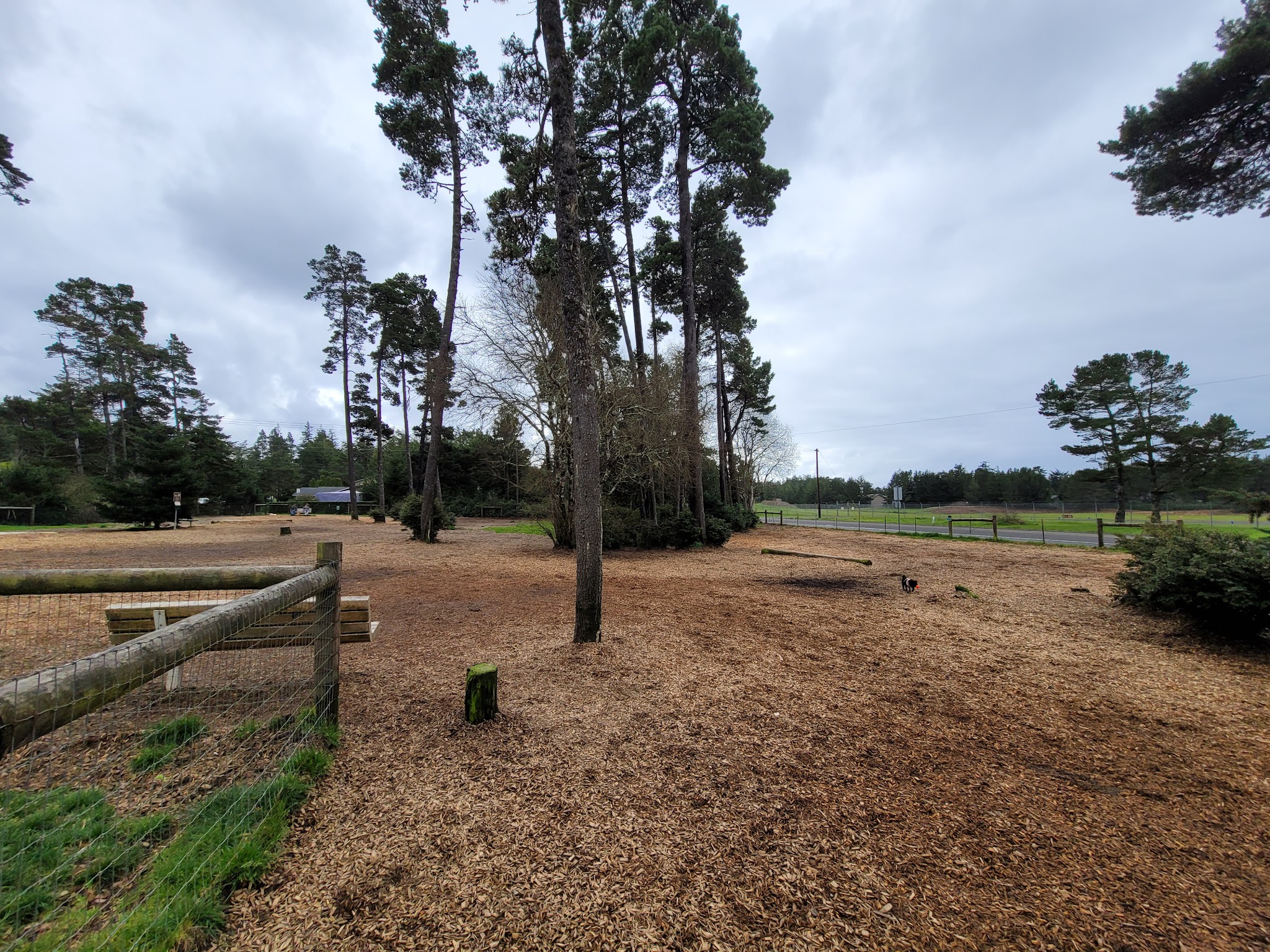 Dog park and parking - Florence, OR