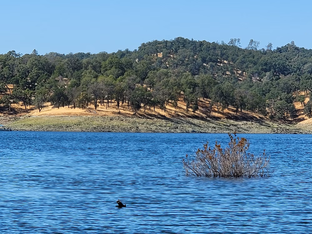 Folsom Lake State Recreation Area - Folsom, CA
