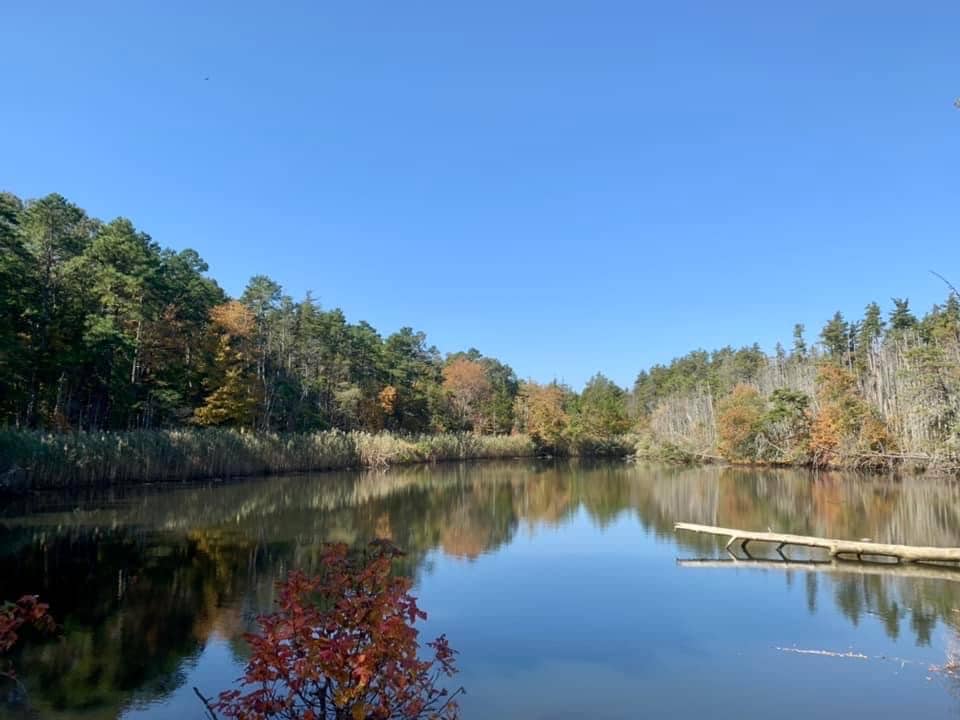 Eno's Pond County Park - Forked River, NJ