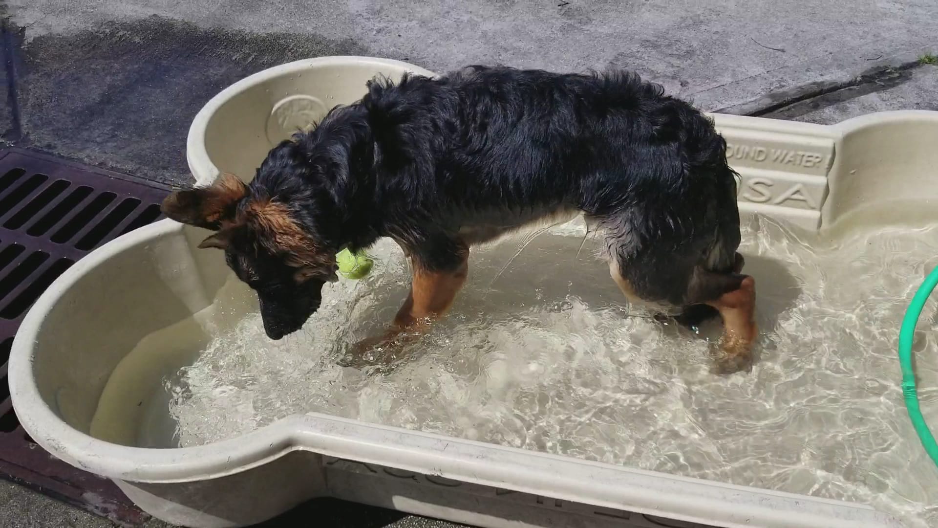 Dog Park at Oakridge Park - Fort Lauderdale, FL