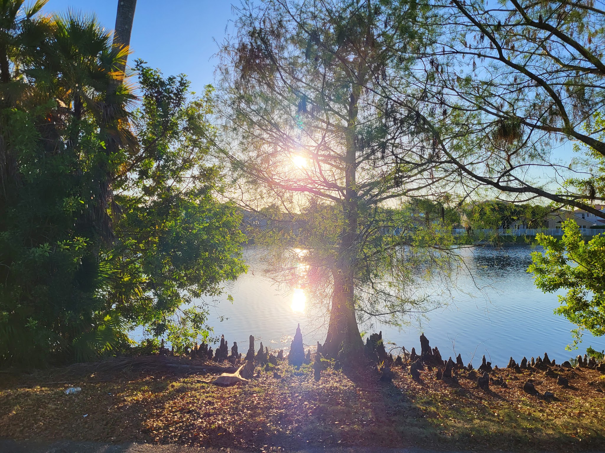 Dog Park at Oakridge Park - Fort Lauderdale, FL