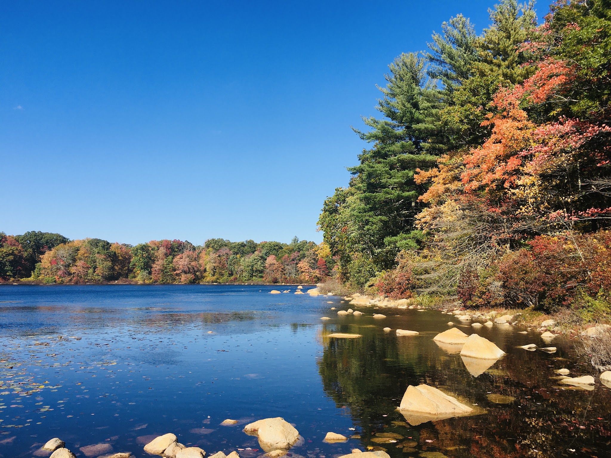 F. Gilbert Hills State Forest - Foxborough, MA