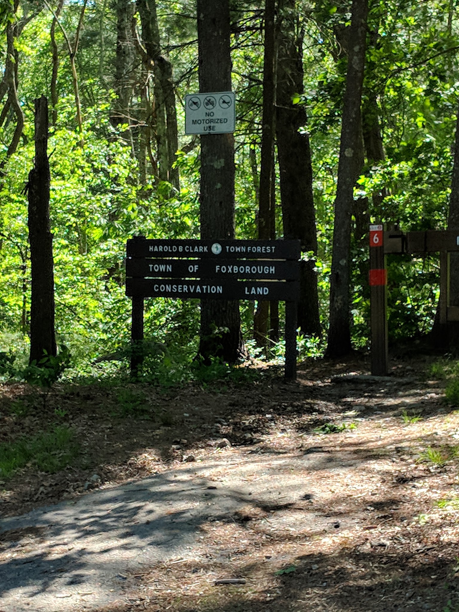 Harold B. Clark Town Forest - Foxborough, MA