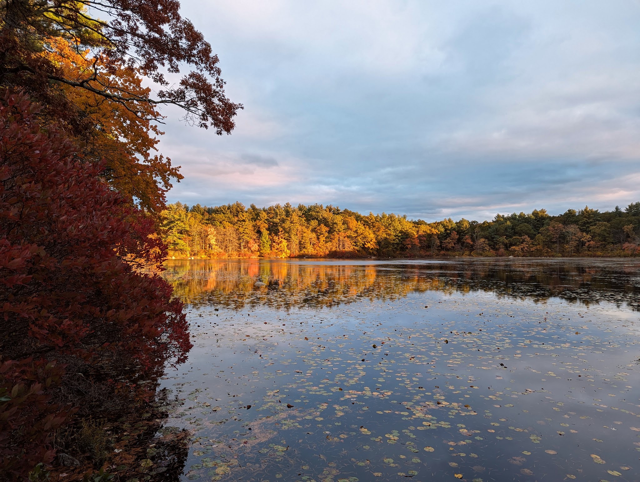 Harold B. Clark Town Forest - Foxborough, MA
