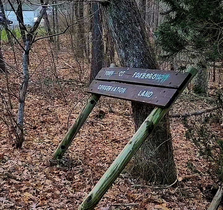 Harold B. Clark Town Forest - Foxborough, MA