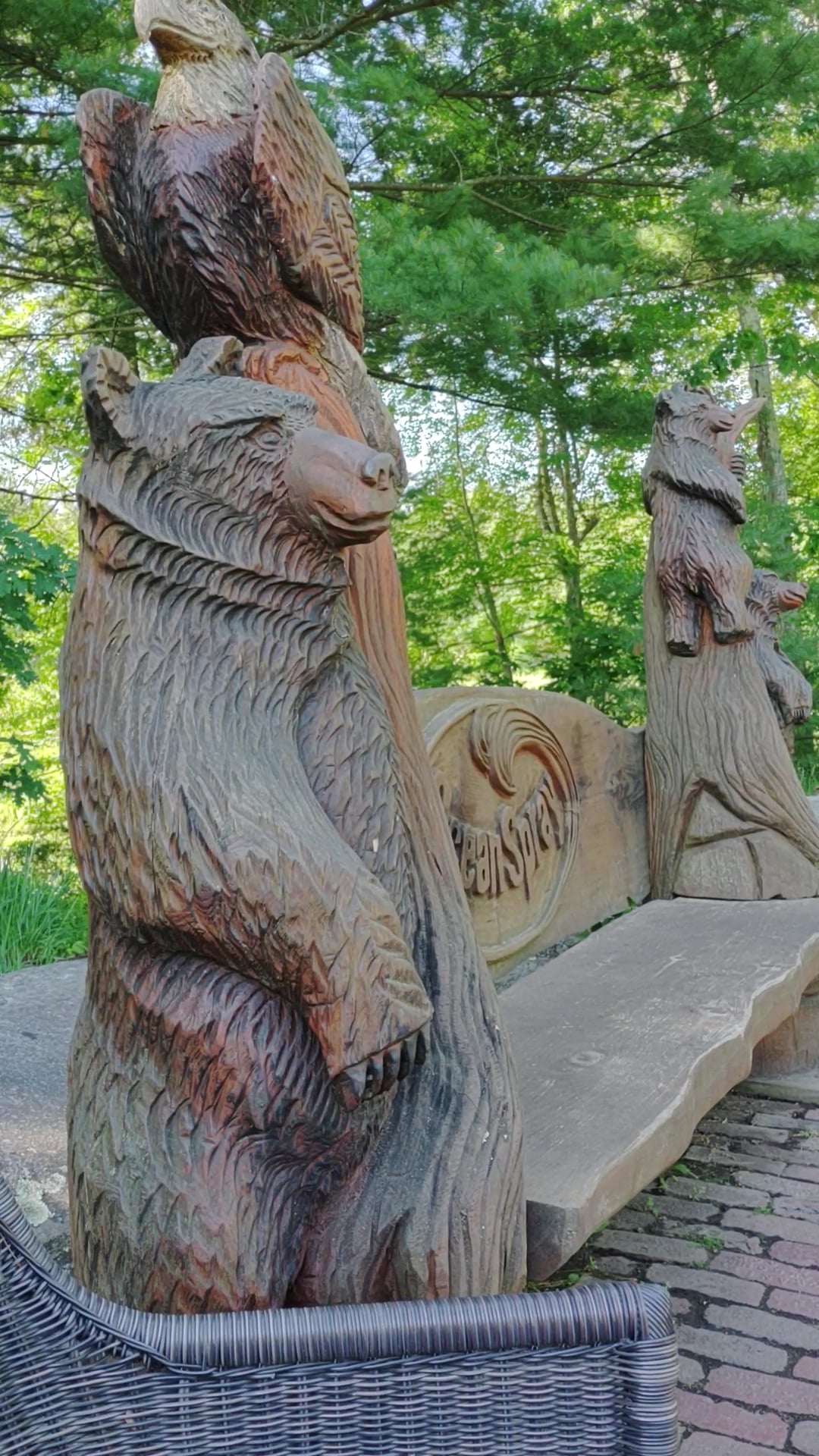 The Nature Trail and Cranberry Bog - Foxborough, MA