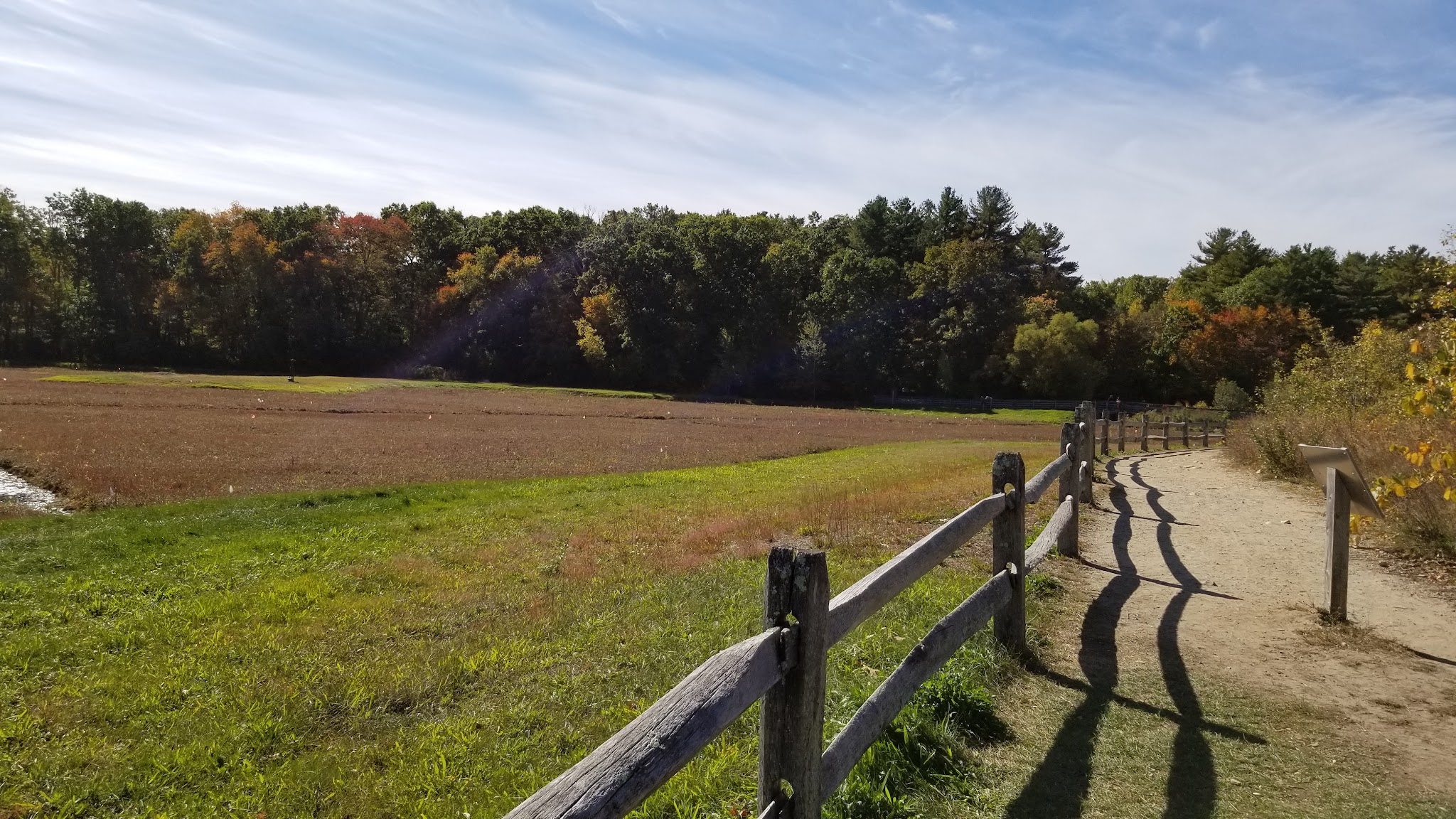 The Nature Trail and Cranberry Bog - Foxborough, MA