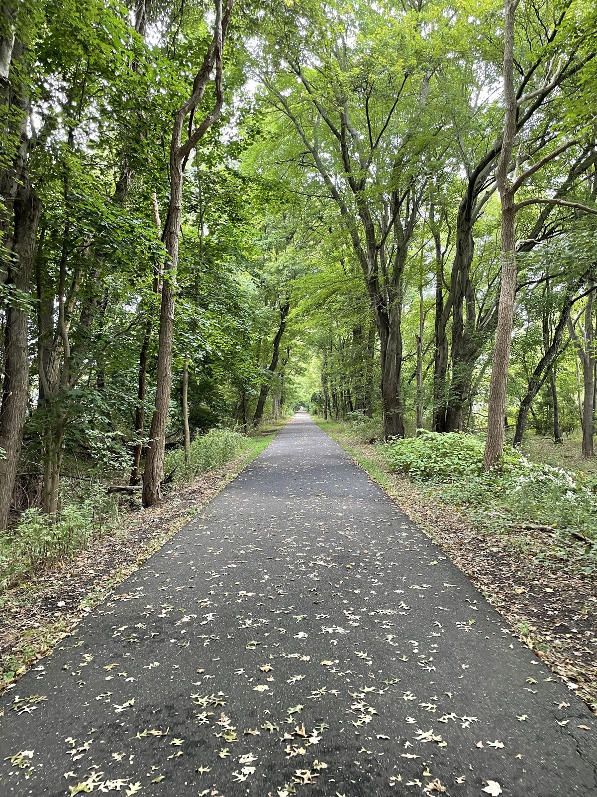 Henry Hudson Trail Freehold Trailhead - Freehold, NJ
