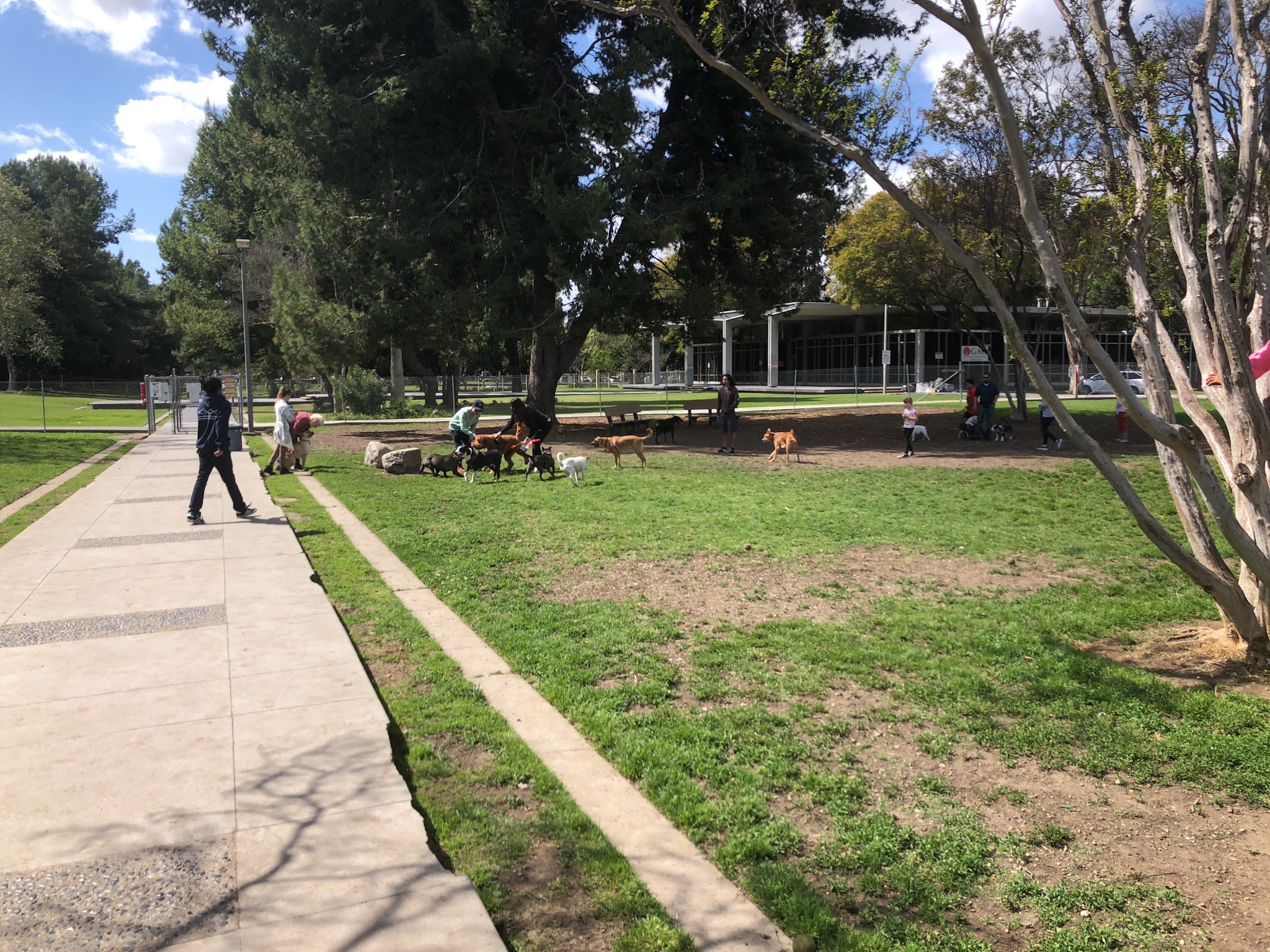 Fullerton Pooch Park - Fullerton, CA