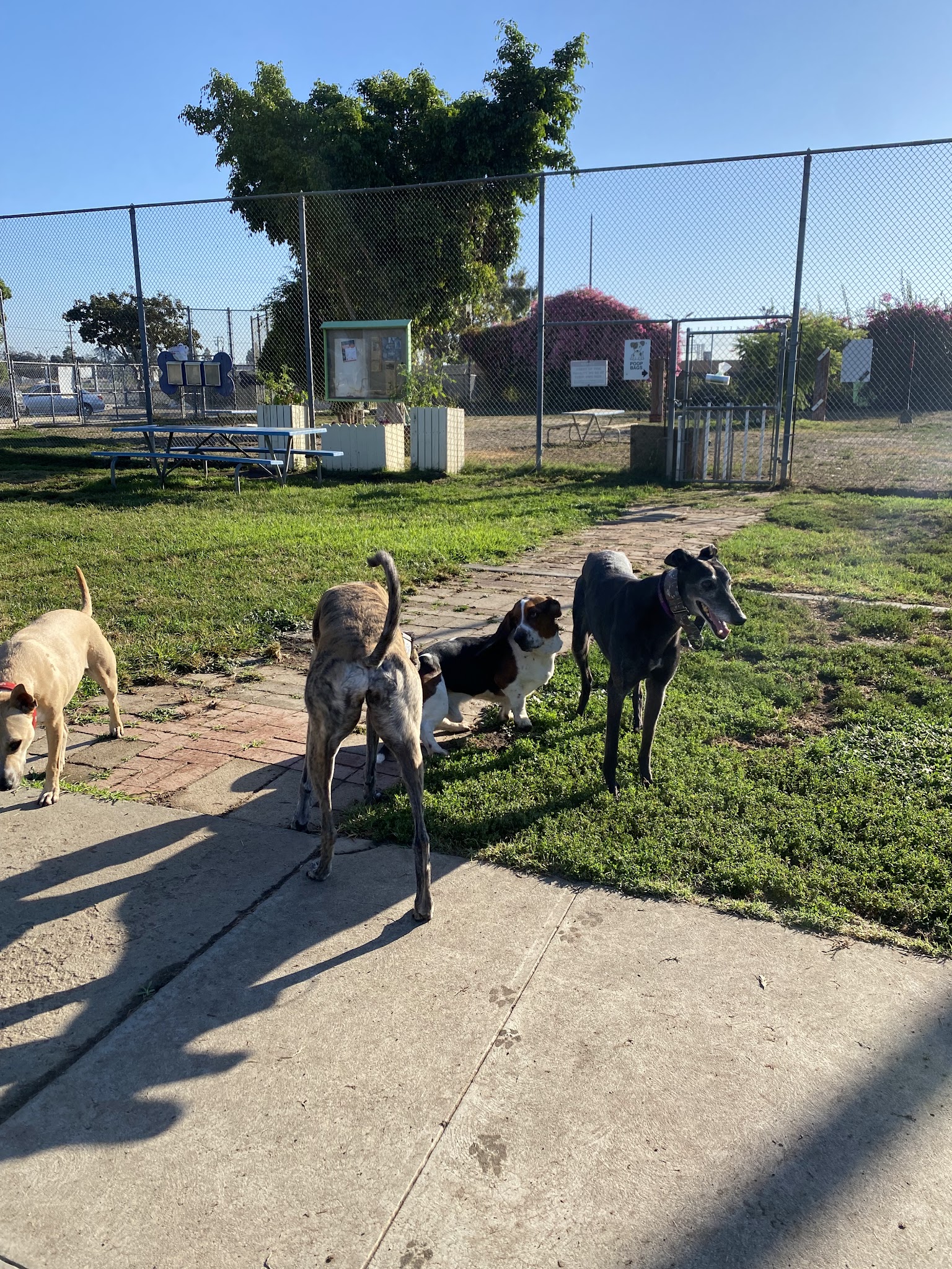 Fullerton Pooch Park - Fullerton, CA