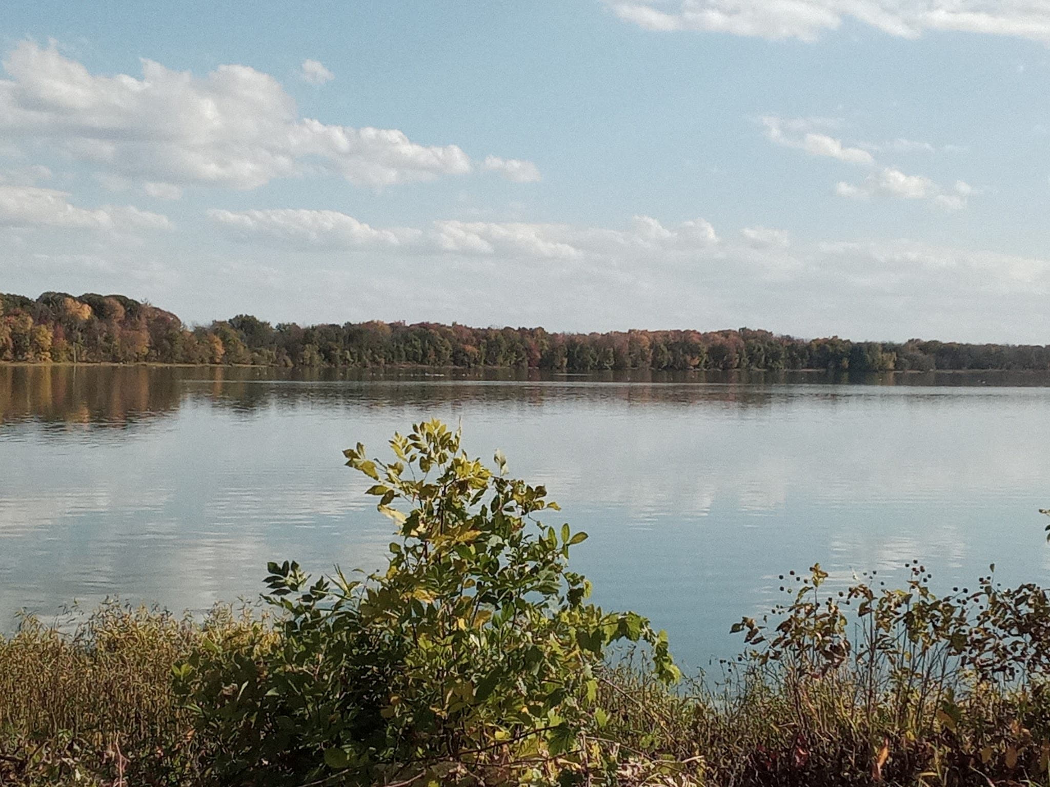 Bullhead Point Pavilion - Fulton, NY