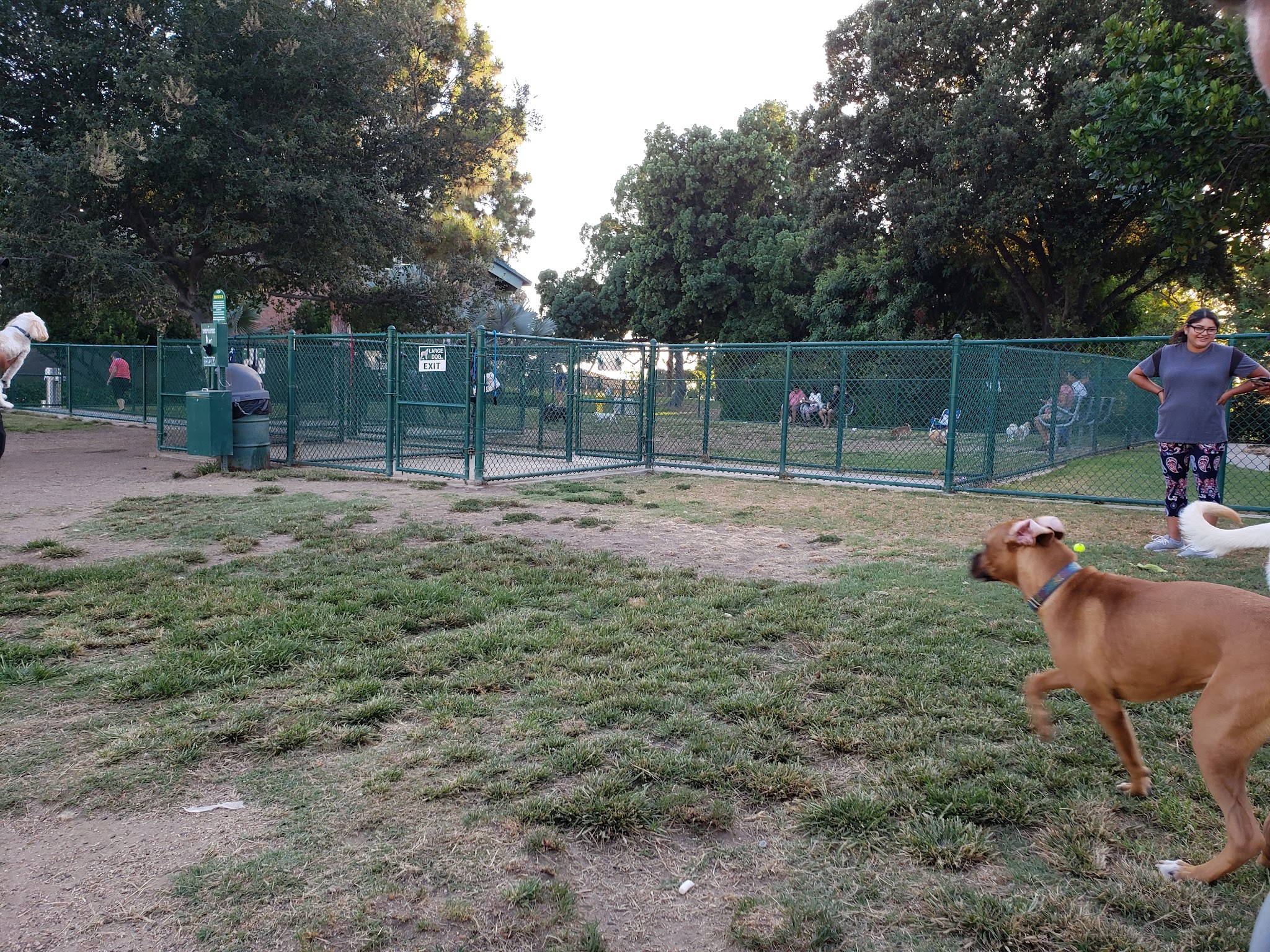 Dog Park | Garden Grove - Garden Grove, CA