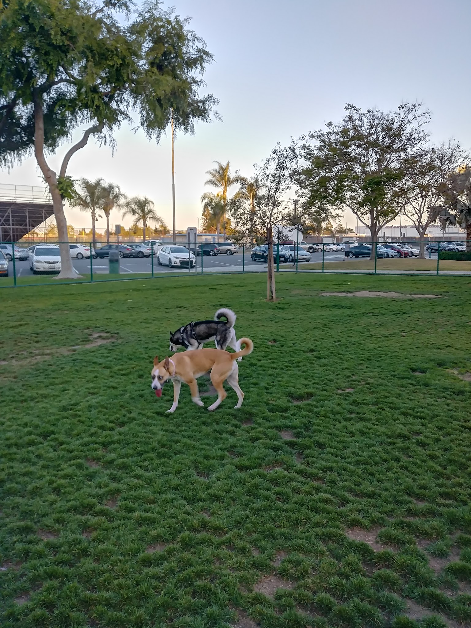 Dog Park | Garden Grove - Garden Grove, CA