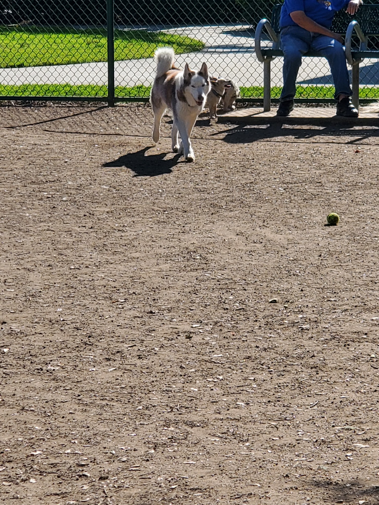 Dog Park | Garden Grove - Garden Grove, CA