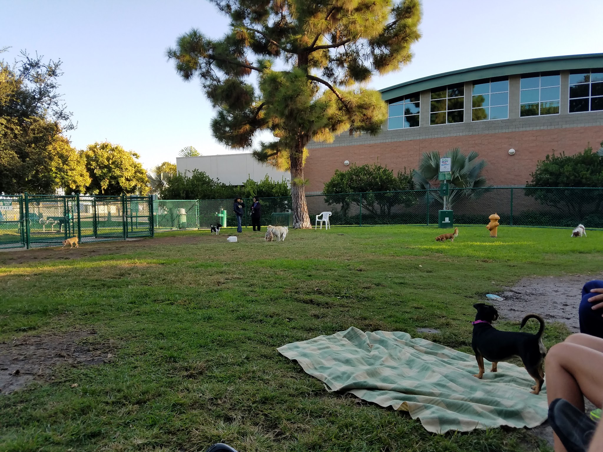 Dog Park | Garden Grove - Garden Grove, CA