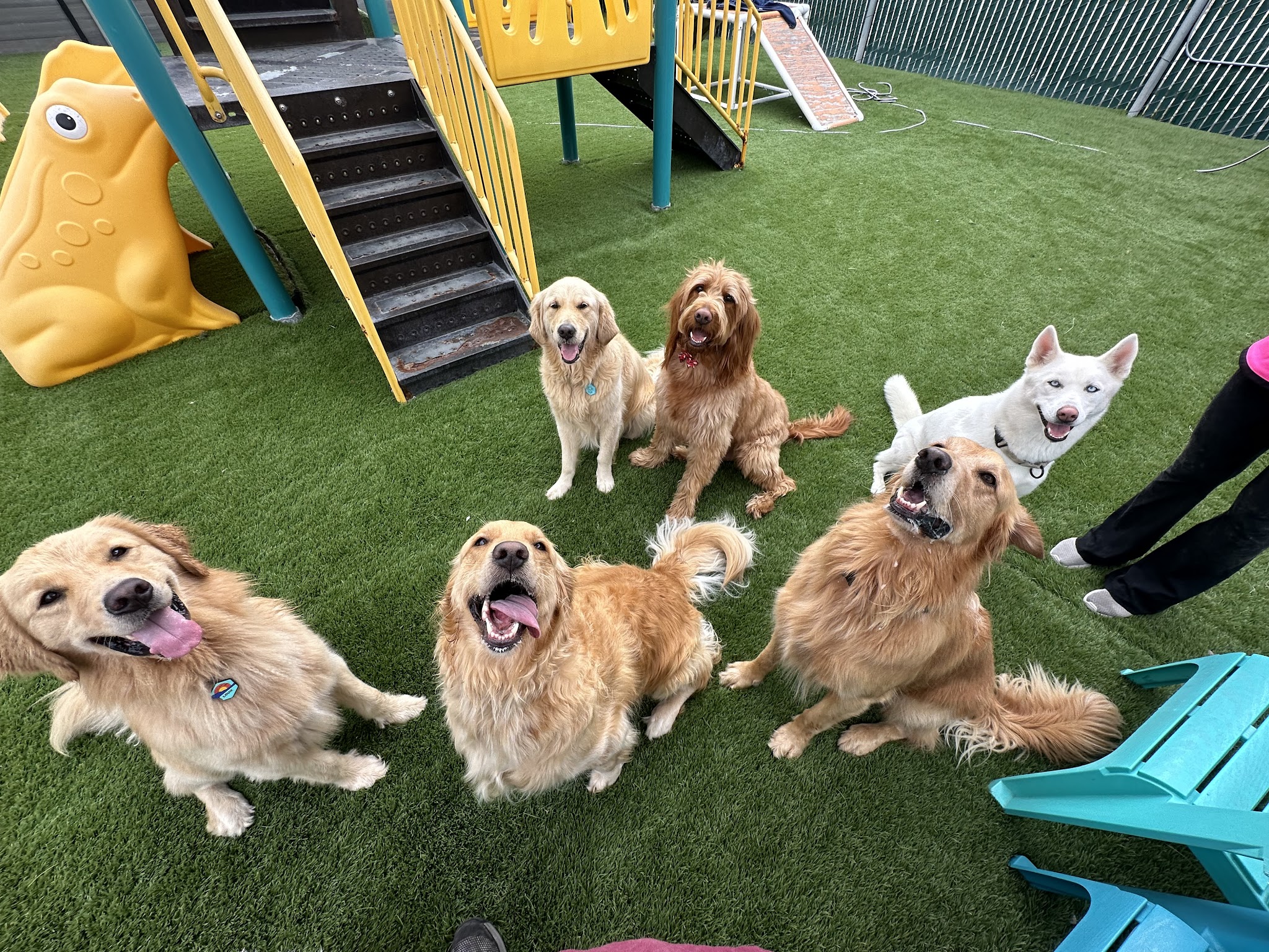 South Park Doggie - Adventureland (South Bay) - Gardena, CA