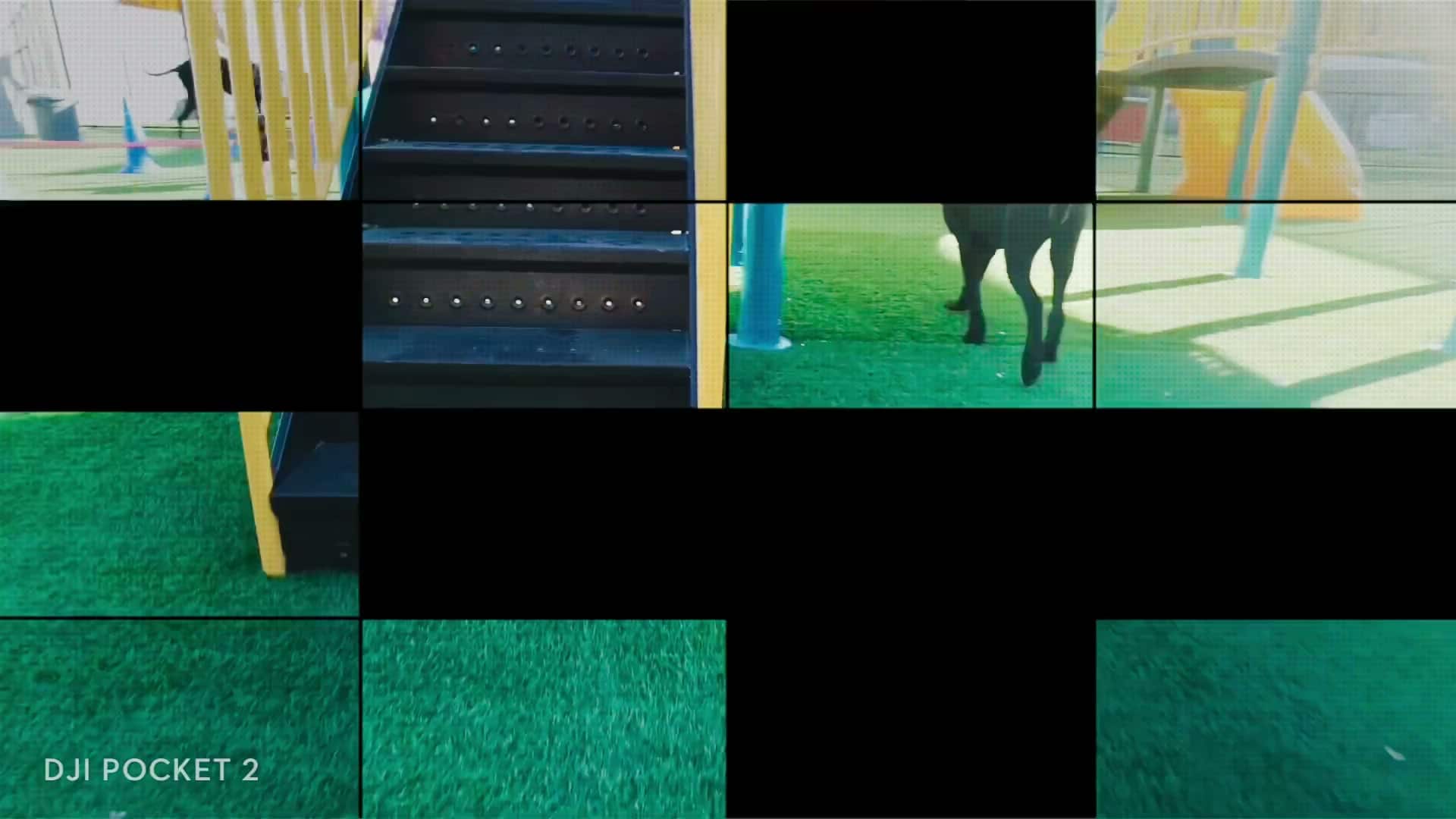 South Park Doggie - Adventureland (South Bay) - Gardena, CA