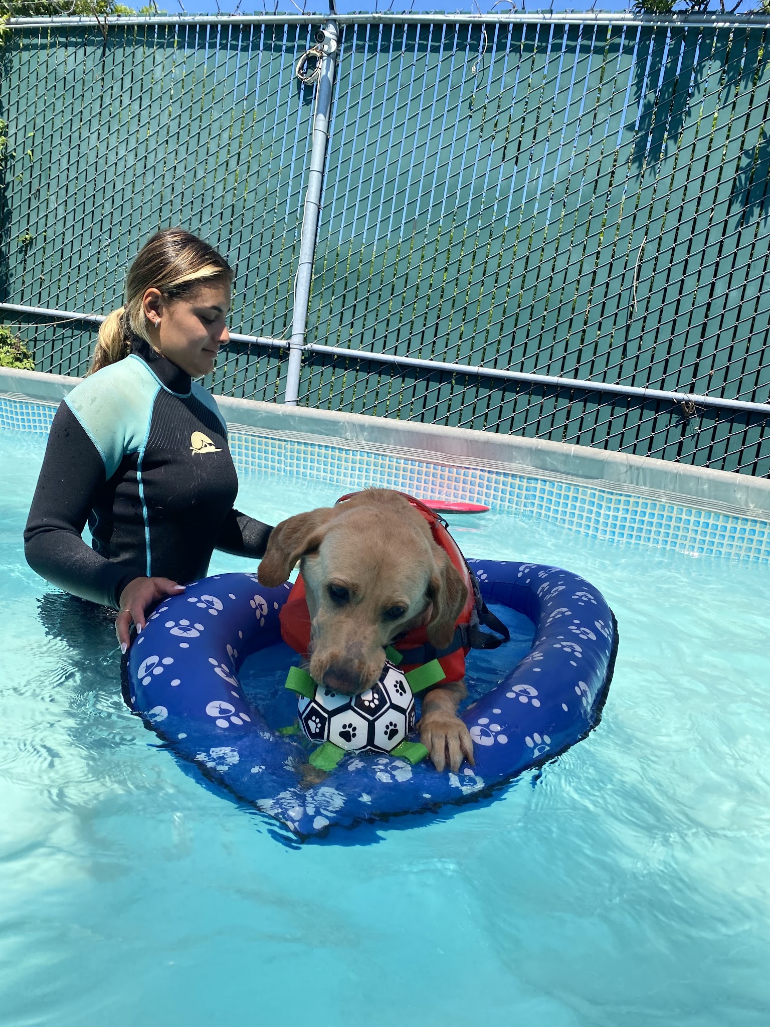 South Park Doggie - Adventureland (South Bay) - Gardena, CA