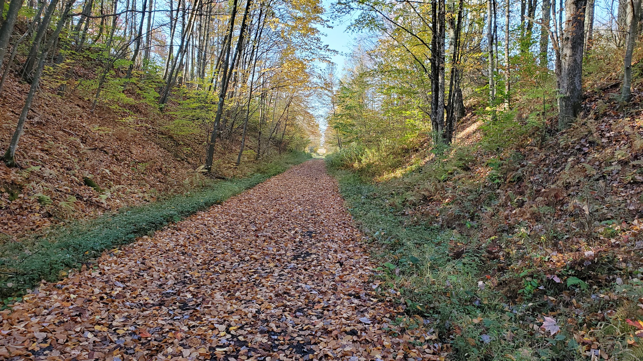West Fork Rail Trail - Glady, WV