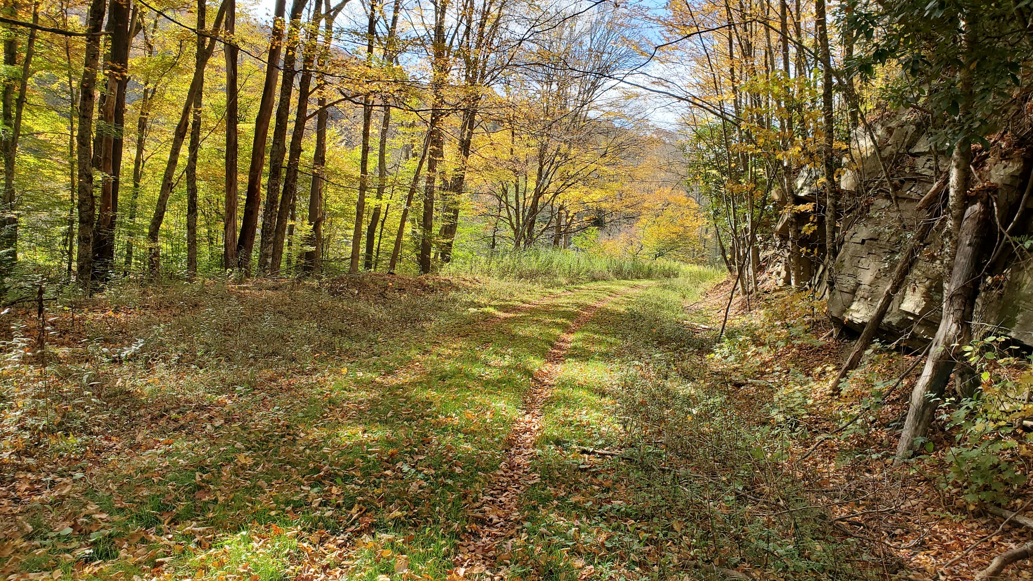 West Fork Rail Trail - Glady, WV