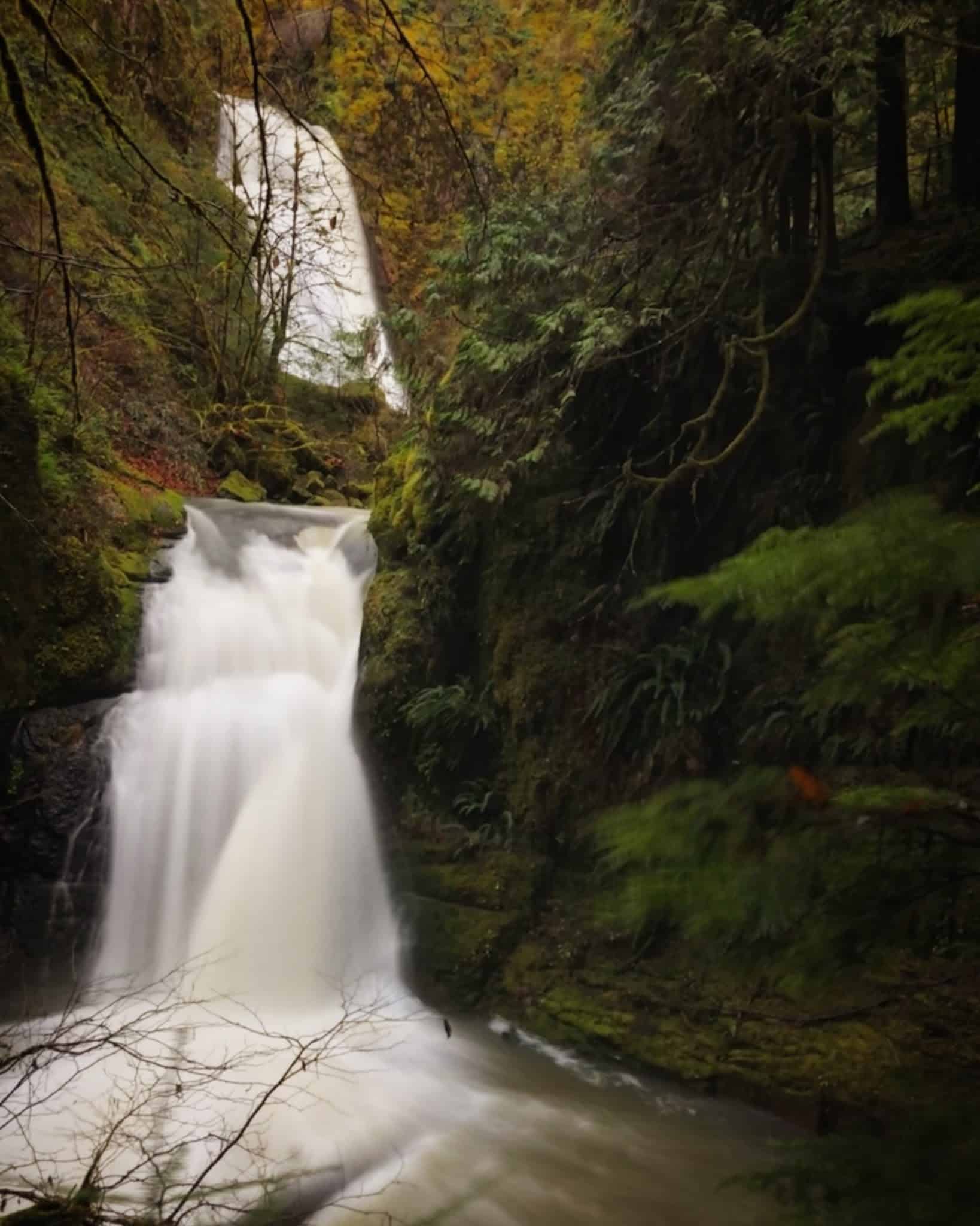 Wolf Creek Falls - Glide, OR