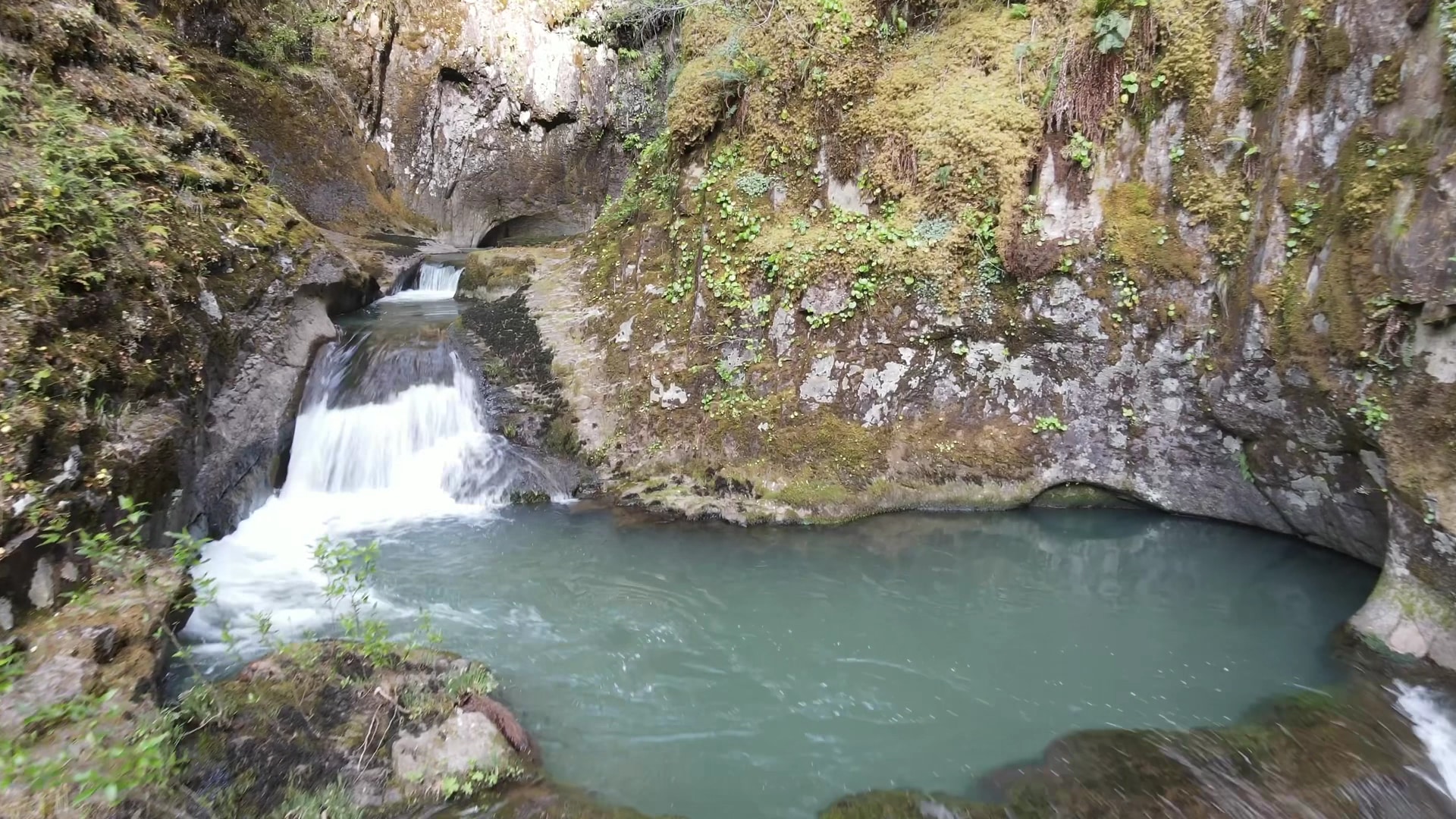 Wolf Creek Falls Picnic Area - Glide, OR