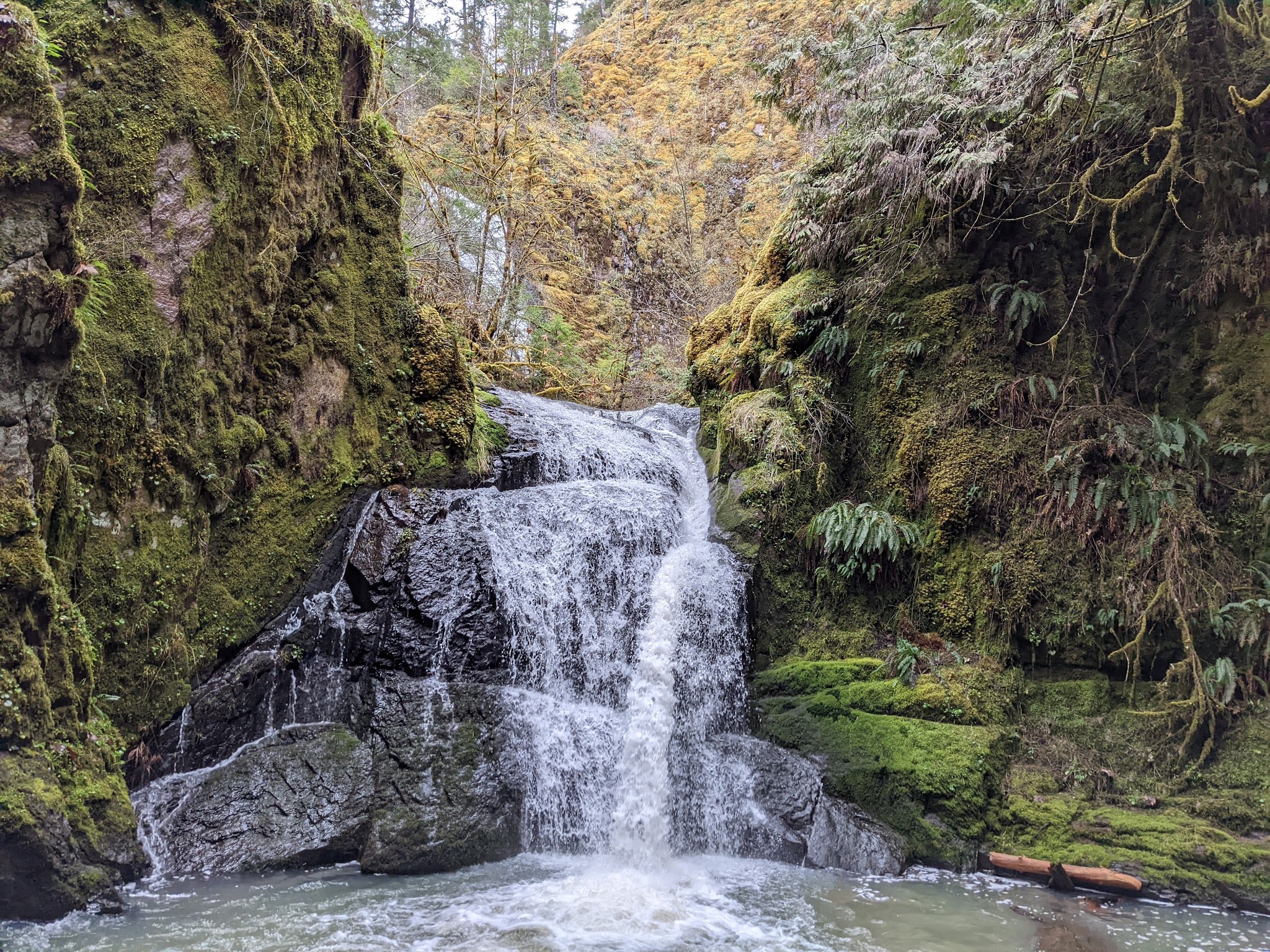 Wolf Creek Falls Picnic Area - Glide, OR