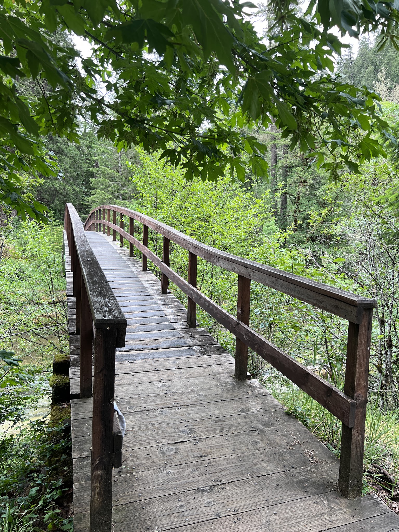 Wolf Creek Falls Picnic Area - Glide, OR
