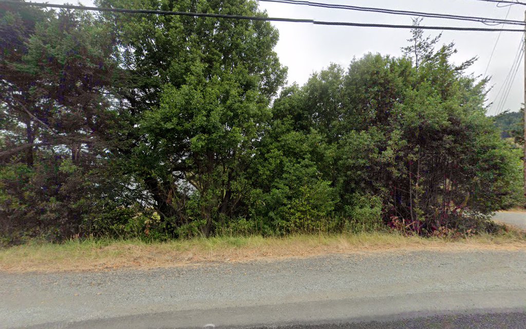 Gold Beach Dog Jetty - Gold Beach, OR
