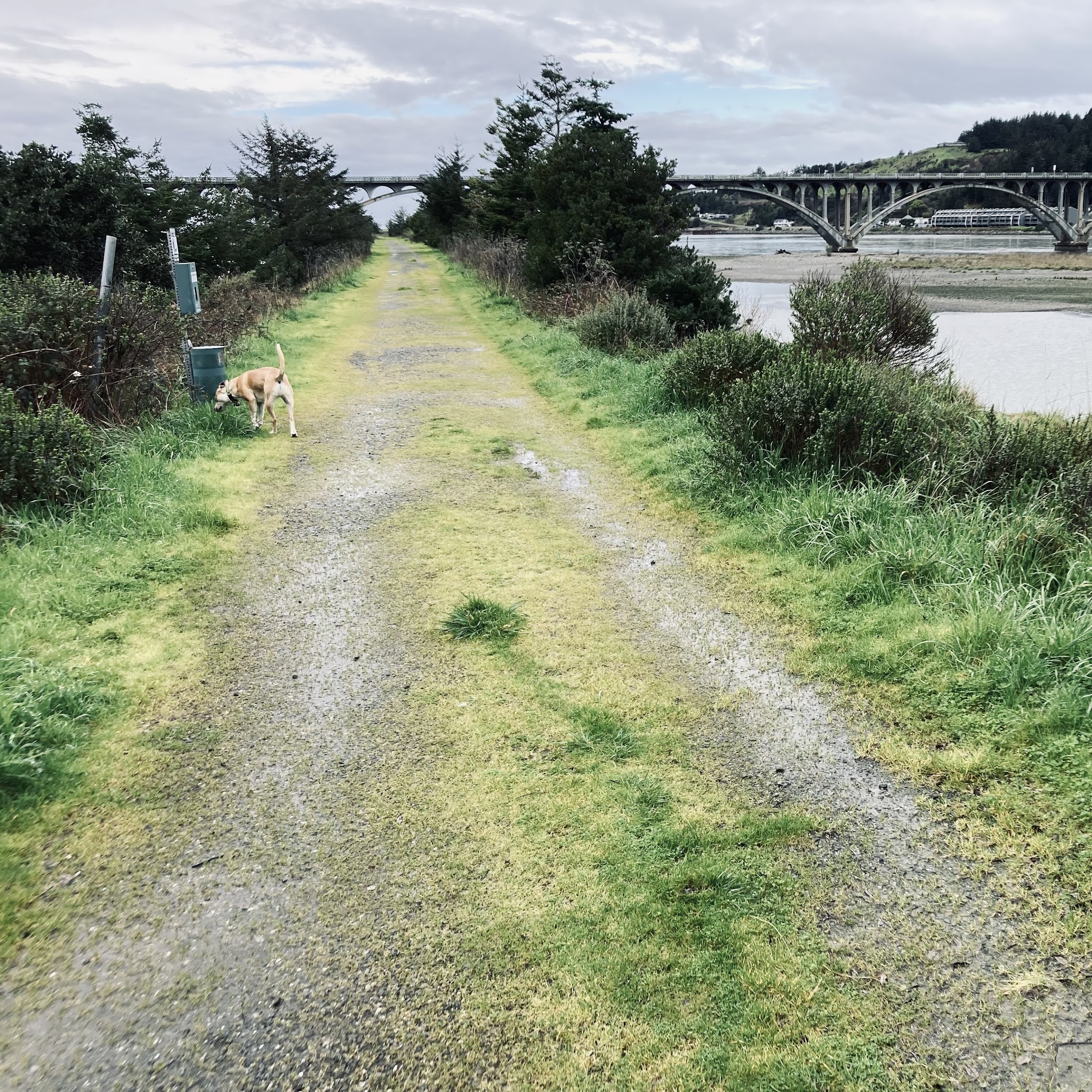 Gold Beach Dog Jetty - Gold Beach, OR
