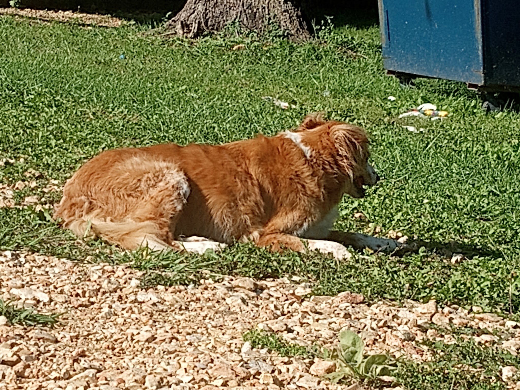 Goodman Ball Park - Goodman, MO