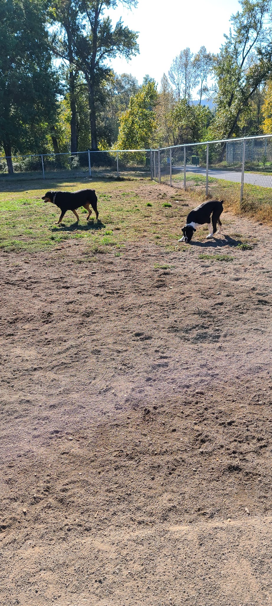 Greenwood Dog Park - Grants Pass, OR