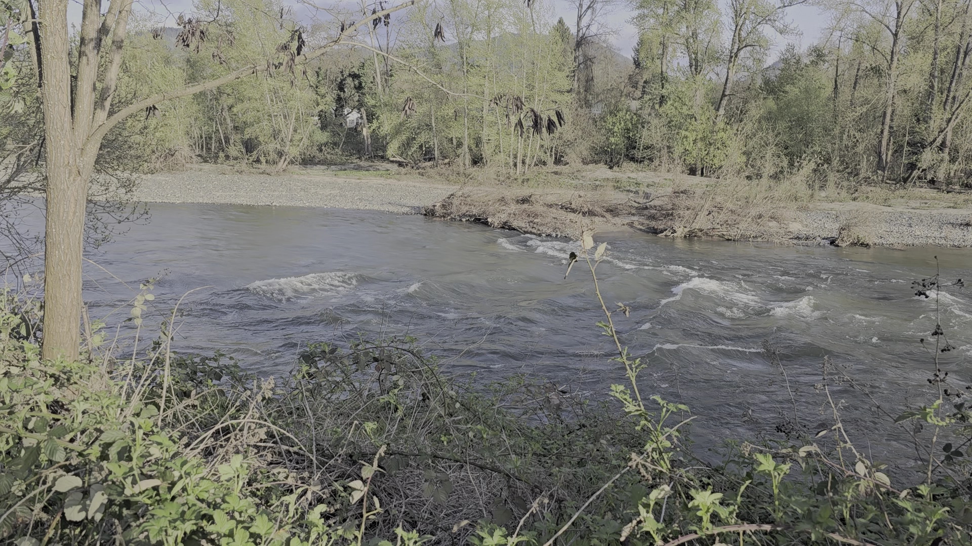 Greenwood Dog Park - Grants Pass, OR