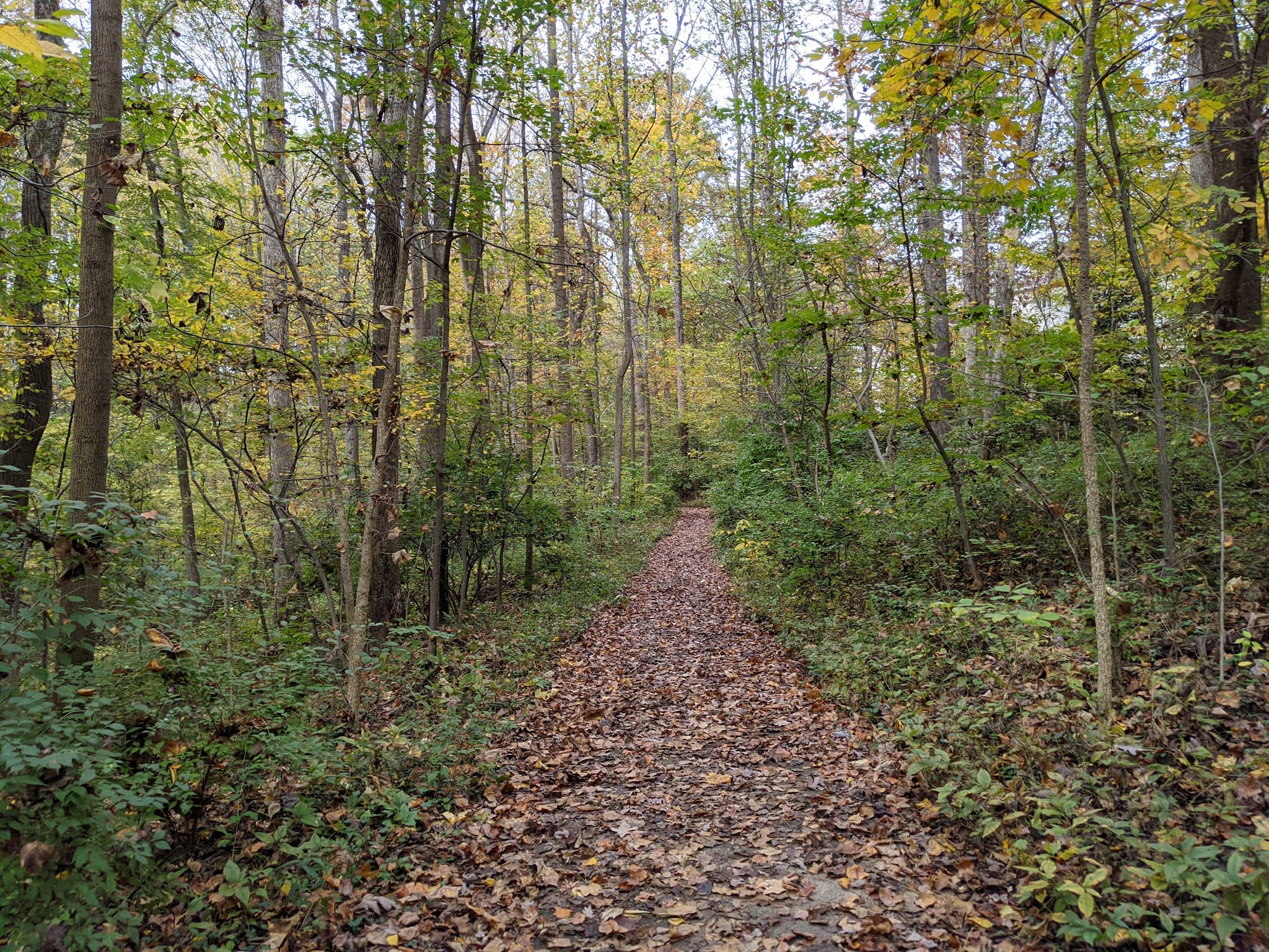 Difficult Run Stream Valley Park - Great Falls, VA
