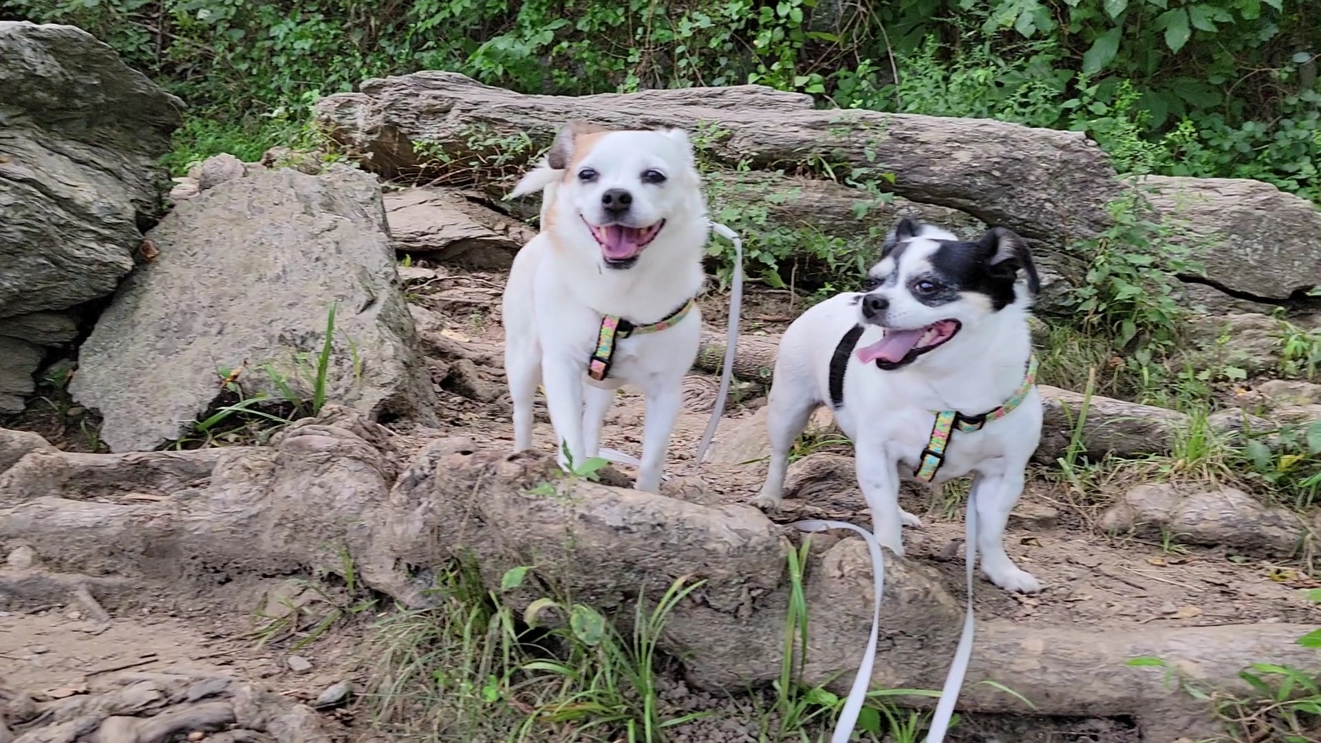 Riverbend Park Visitor's Center - Great Falls, VA