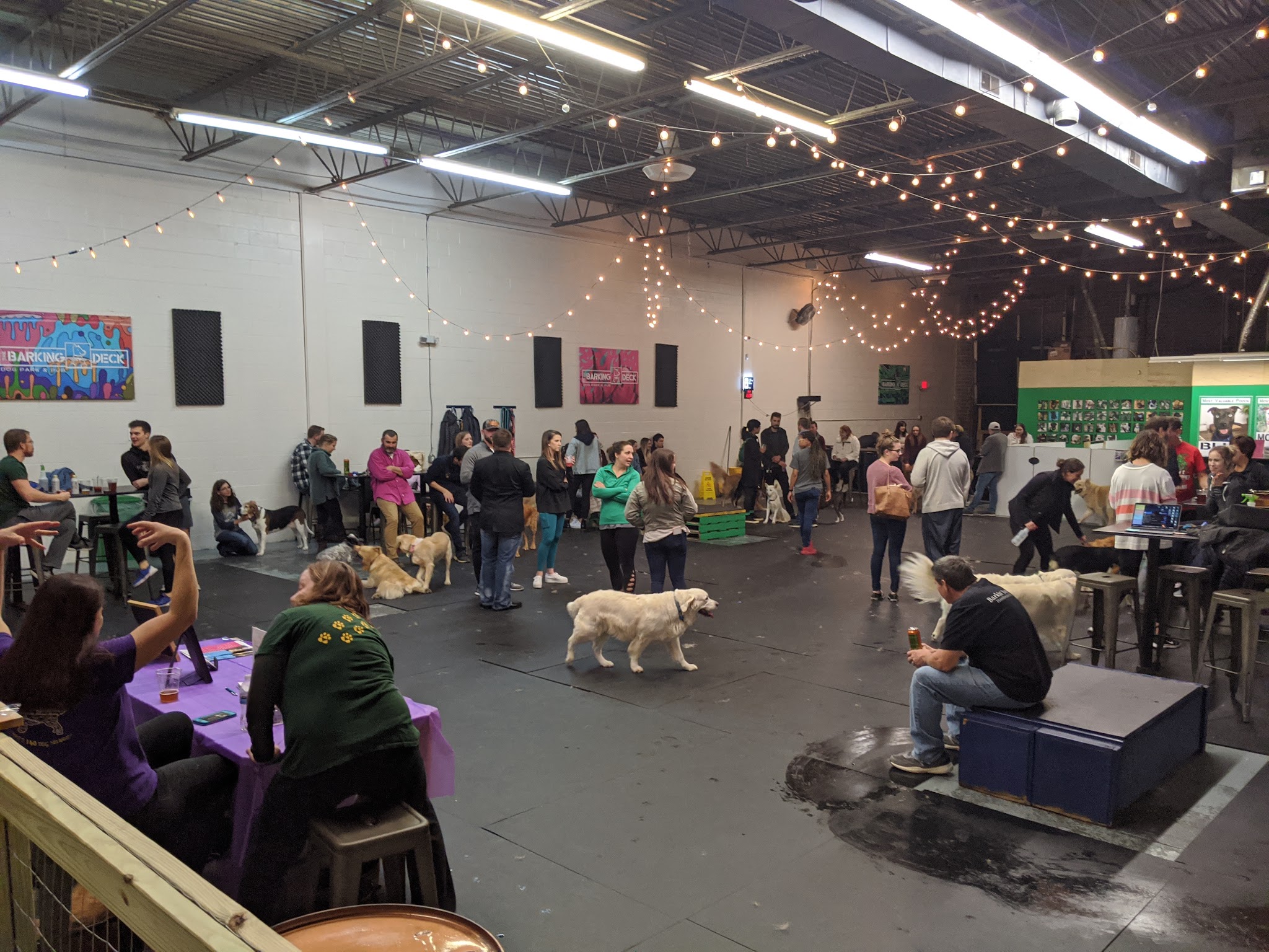 Doggos Dog Park & Pub - Greensboro, NC