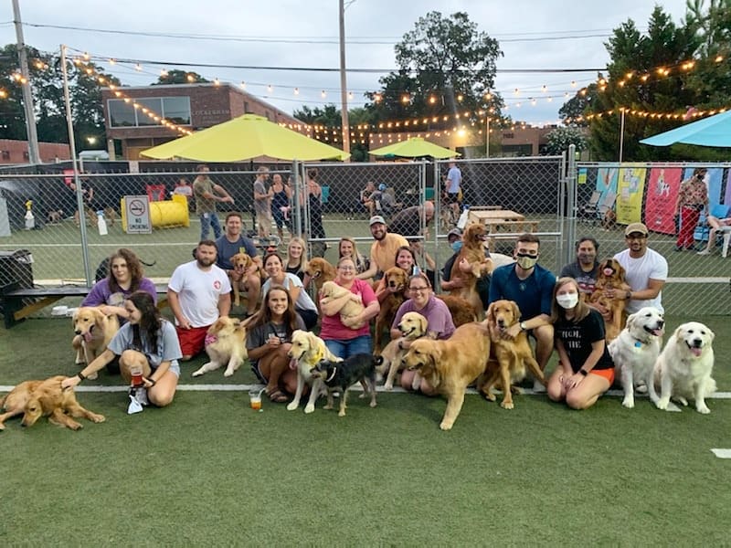 Doggos Dog Park & Pub - Greensboro, NC