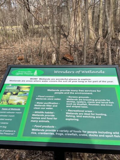 Greenville Cypress Preserve Trust - Greenville, MS