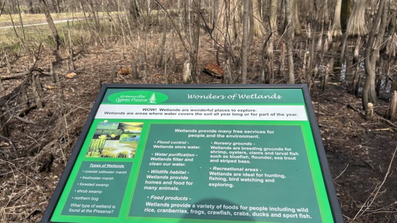 Greenville Cypress Preserve Trust - Greenville, MS