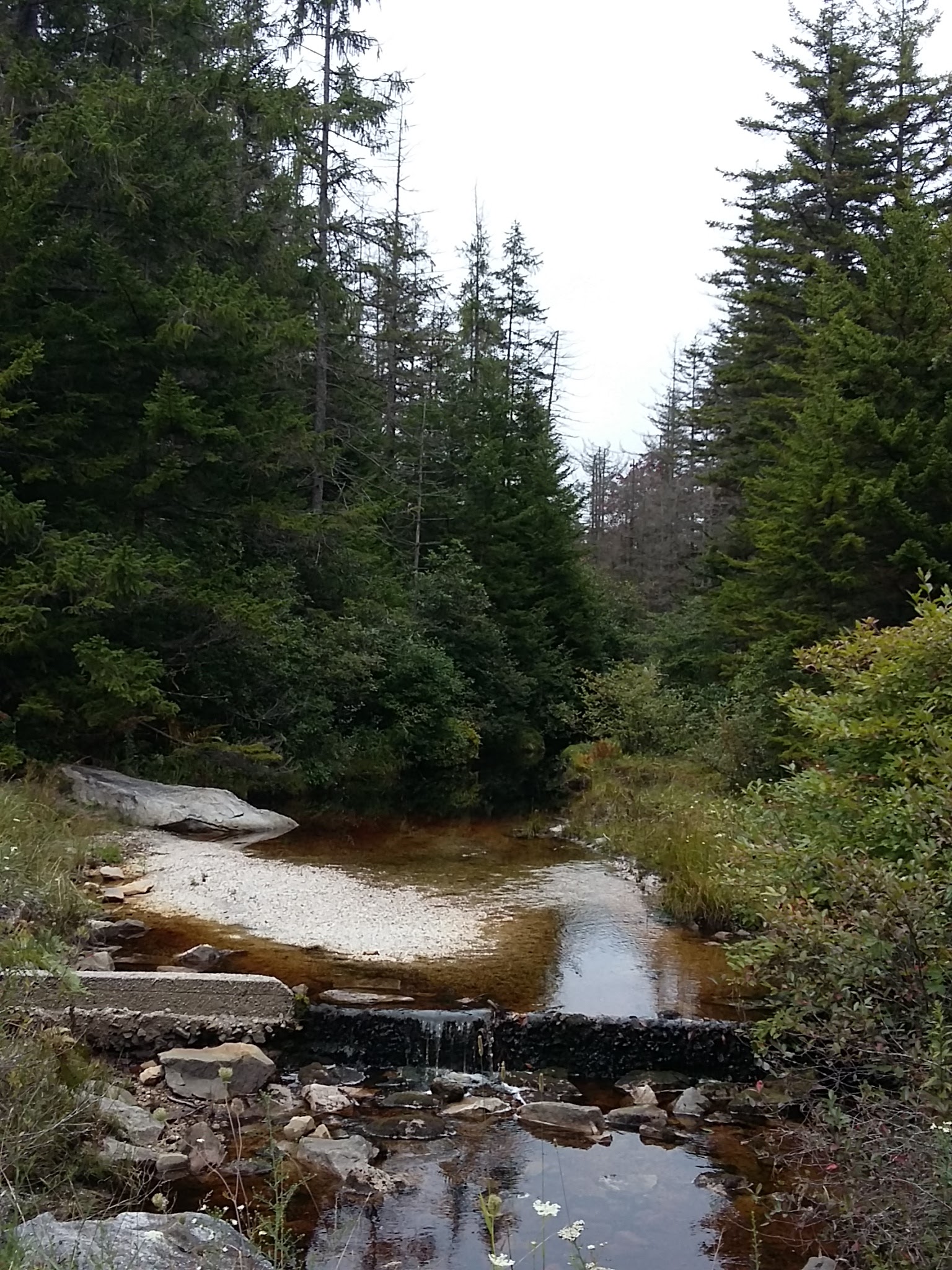 Hambleton Town Park - Hambleton, WV