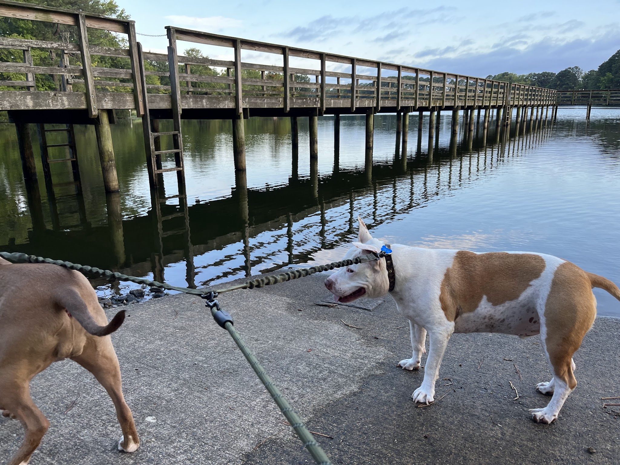 Pavillon #1 - Hampton, VA